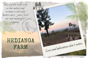 HEDIANGA FARM